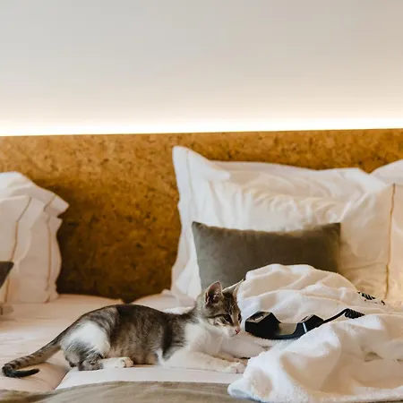 Canadiano Urban Nature