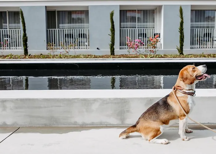 Canadiano Urban Nature