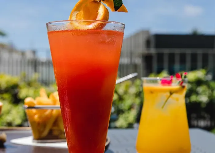 Canadiano Urban Nature מלון 3*