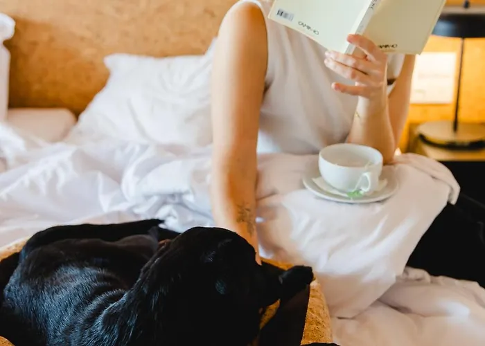 Canadiano Urban Nature