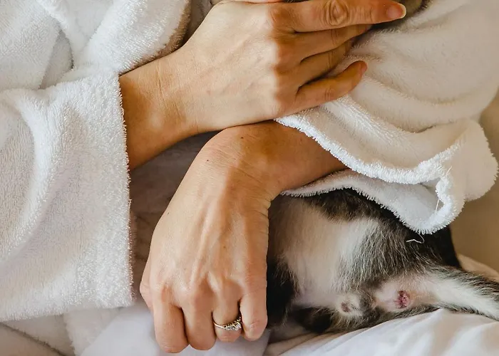 Canadiano Urban Nature מלון 3*