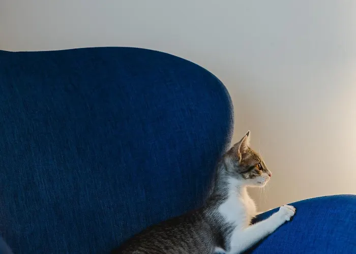 Canadiano Urban Nature 3*