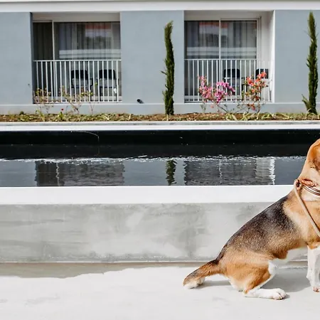 Canadiano Urban Nature