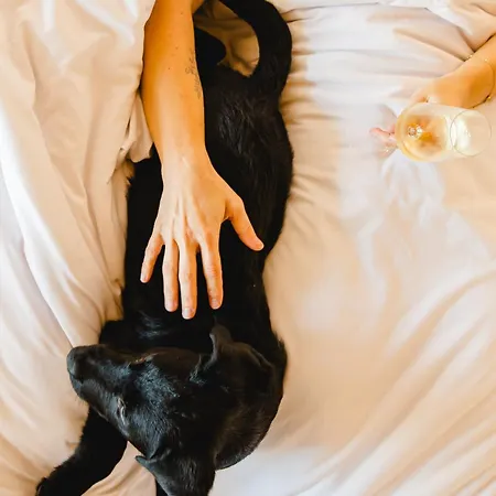 Hotel Canadiano Urban Nature Ponta Delgada