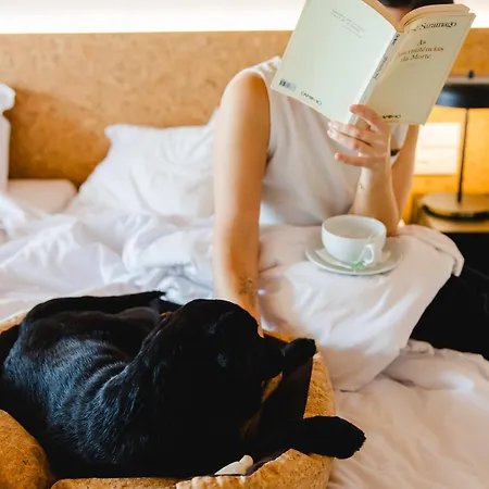 Canadiano Urban Nature