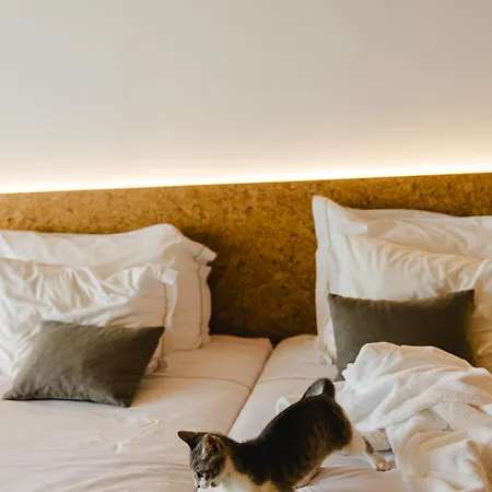 Canadiano Urban Nature 3*