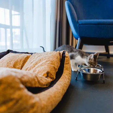 Canadiano Urban Nature 3* Ponta Delgada (Sao Miguel)