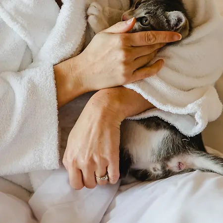 Canadiano Urban Nature Hotel 3*