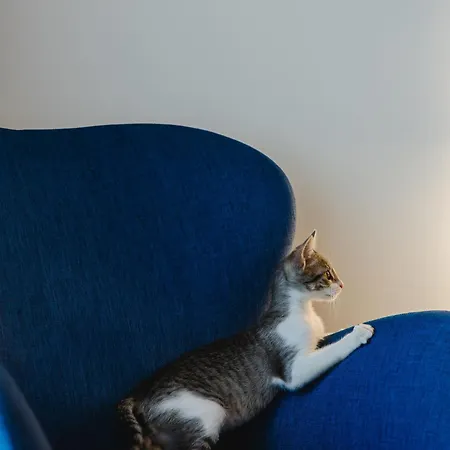 Canadiano Urban Nature 3*