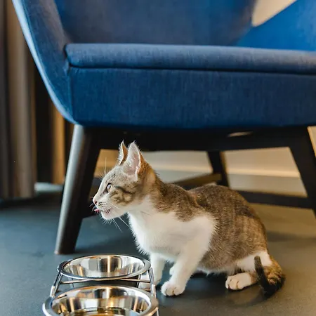 Canadiano Urban Nature 3*