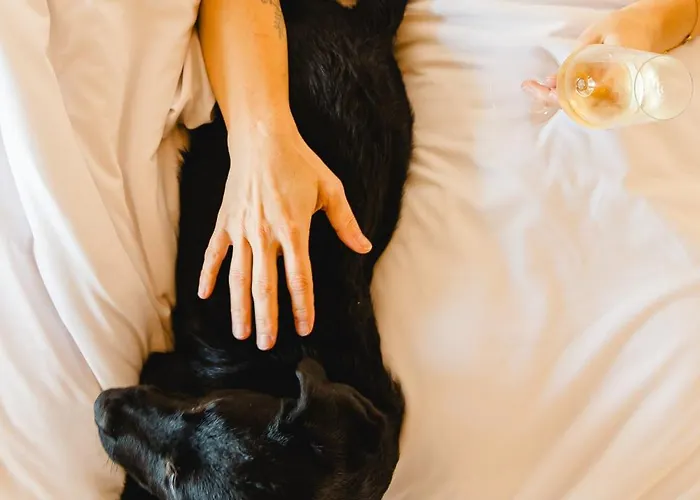 Hotel Canadiano Urban Nature Ponta Delgada