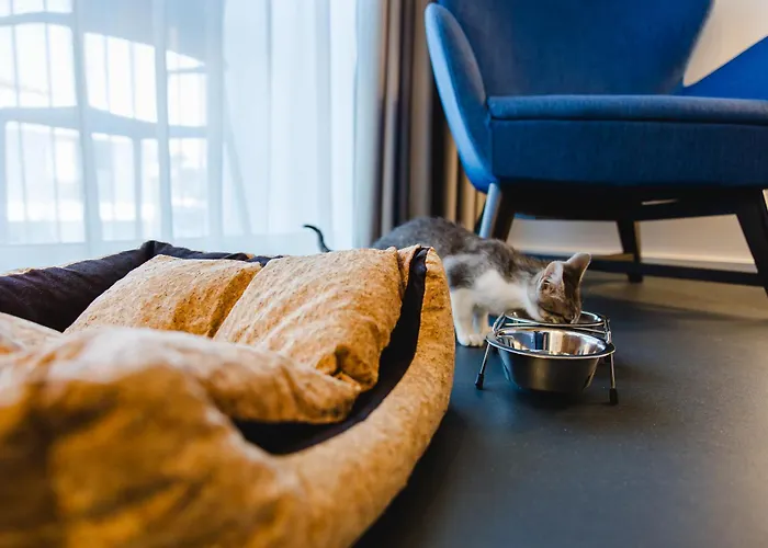 Canadiano Urban Nature 3* Ponta Delgada