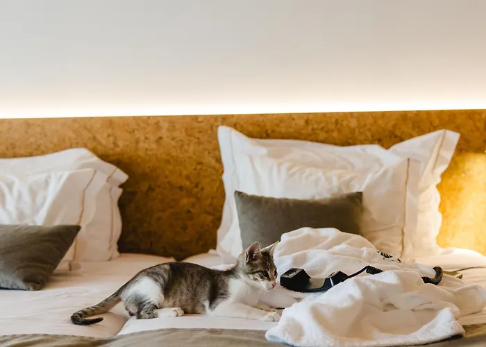 Canadiano Urban Nature