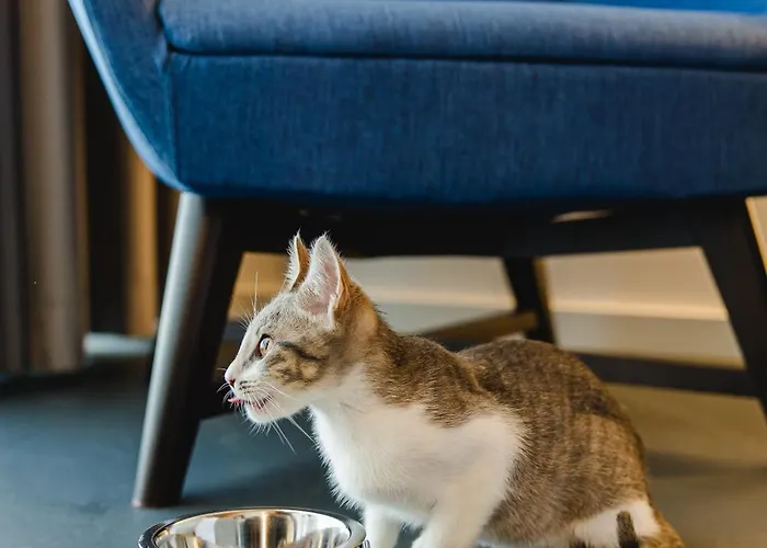 Canadiano Urban Nature 3*